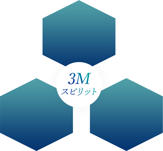 3M スピリット